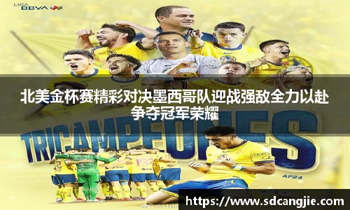 智博19有限公司