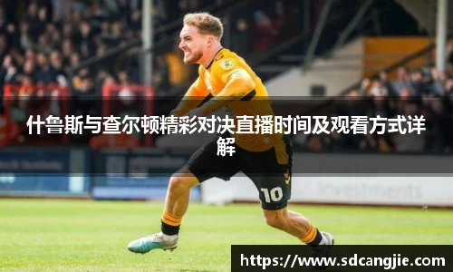 智博19有限公司