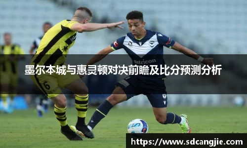 智博19有限公司