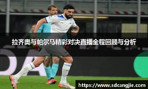 智博19有限公司