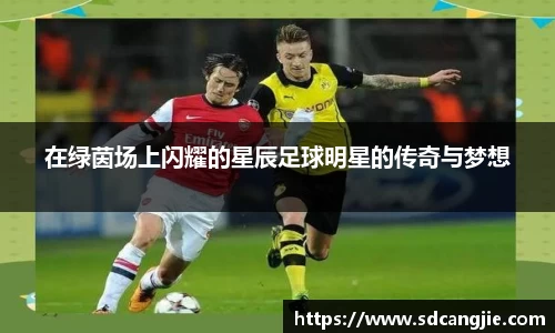 智博19有限公司