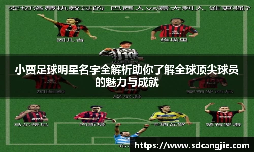 智博19有限公司